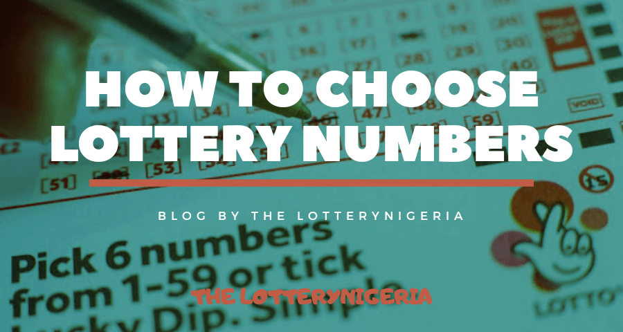 How to choose lottery numbers